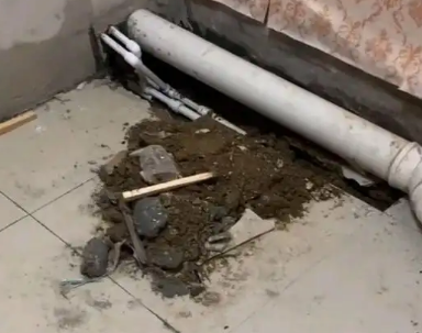温州市卫生间漏水检测哪家好