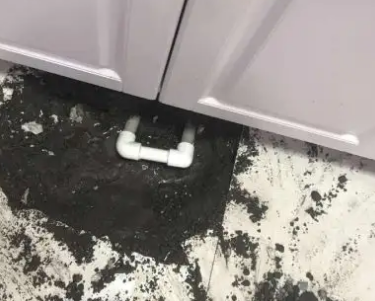 温州市查漏水哪家好