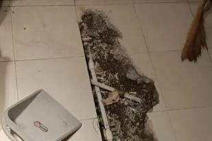 温州市卫生间漏水检测电话